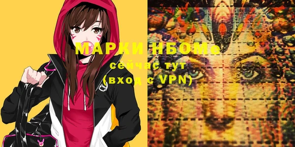 хмурый Янаул