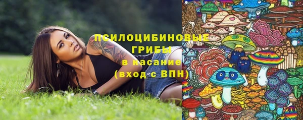 хмурый Янаул