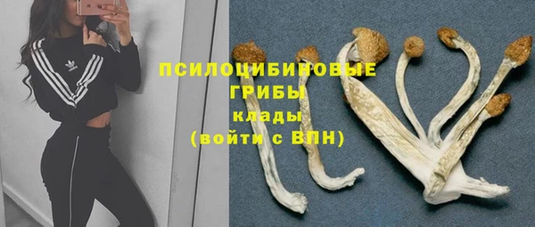 ALPHA PVP Яровое