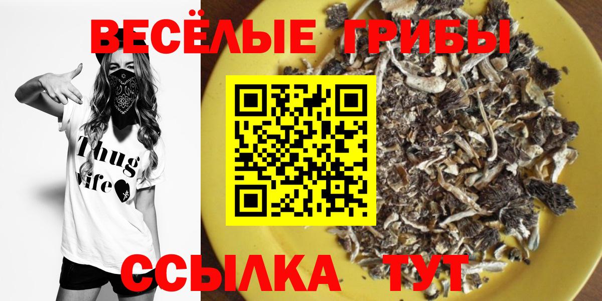 Алейск  Псилоцибиновые грибы Magic Shrooms  Вход с VPN 