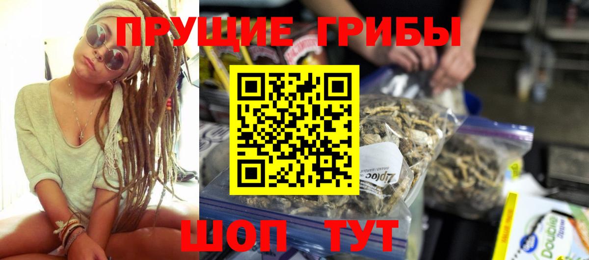 Галлюциногенные грибы Psilocybe Алейск